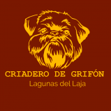venta de cachorros grifon de bruselas
